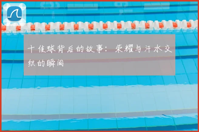 十佳球背后的故事:荣耀与汗水交织的瞬间