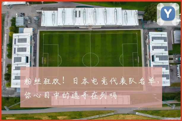 粉丝狂欢!日本电竞代表队名单,你心目中的选手在列吗